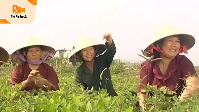 Thanh Hiền Nữ diễn viên lớn tuổi nhất màn ảnh Việt trong 'Lật Mặt 7' 2 NDUT Thanh Hiền Hồi còn trẻ